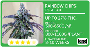 Cannabis Seeds Prince Edward Island A Comprehensive Guide Cannabis Seeds Prince Edward Island A Comprehensive Guide