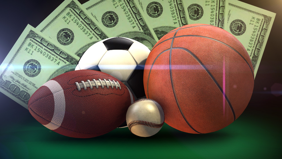 The Best Online Casino Platforms 6